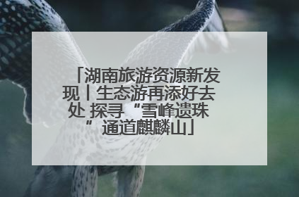 湖南旅游资源新发现丨生态游再添好去处 探寻“雪峰遗珠”通道麒麟山