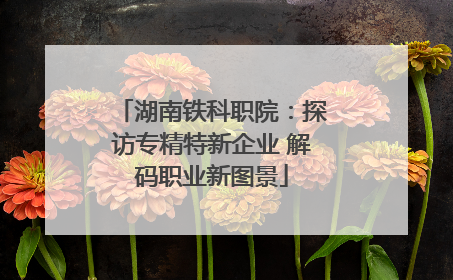 湖南铁科职院：探访专精特新企业 解码职业新图景