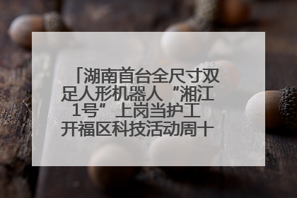湖南首台全尺寸双足人形机器人“湘江1号”上岗当护工 开福区科技活动周十大科创项目签约