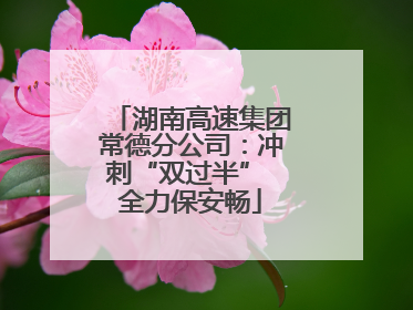 湖南高速集团常德分公司：冲刺“双过半” 全力保安畅