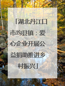 湖北丹江口市均县镇：爱心企业开展公益捐助推进乡村振兴