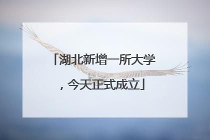 湖北新增一所大学，今天正式成立