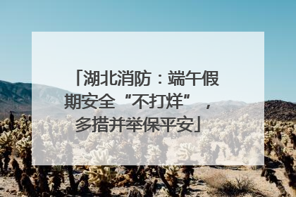 湖北消防：端午假期安全“不打烊”，多措并举保平安