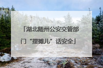 湖北随州公安交管部门“摆摊儿”话安全