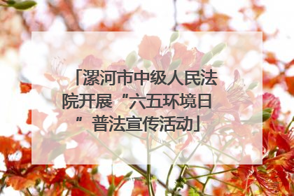 漯河市中级人民法院开展“六五环境日”普法宣传活动