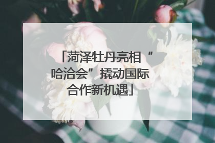 菏泽牡丹亮相“哈洽会”撬动国际合作新机遇