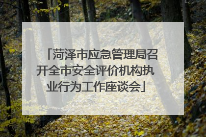 菏泽市应急管理局召开全市安全评价机构执业行为工作座谈会