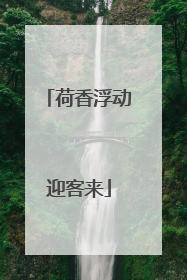荷香浮动迎客来