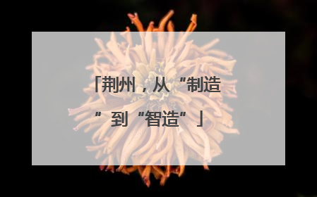 荆州，从“制造”到“智造”