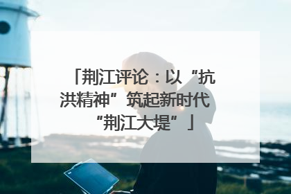 荆江评论：以“抗洪精神”筑起新时代“荆江大堤”