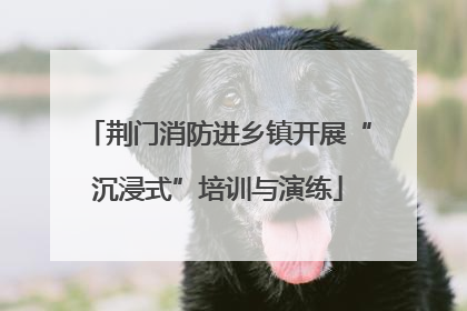 荆门消防进乡镇开展“沉浸式”培训与演练