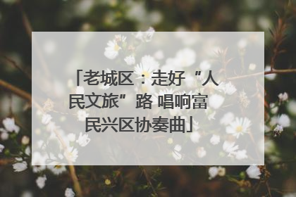 老城区：走好“人民文旅”路 唱响富民兴区协奏曲