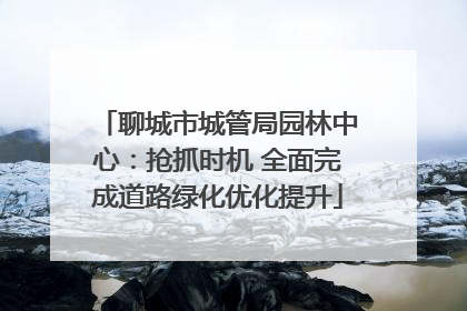 聊城市城管局园林中心：抢抓时机 全面完成道路绿化优化提升