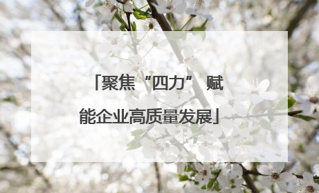 聚焦“四力” 赋能企业高质量发展