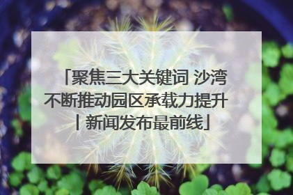 聚焦三大关键词 沙湾不断推动园区承载力提升丨新闻发布最前线