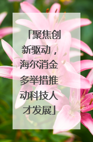 聚焦创新驱动，海尔消金多举措推动科技人才发展