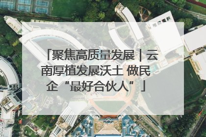 聚焦高质量发展｜云南厚植发展沃土 做民企“最好合伙人”