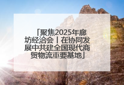 聚焦2025年廊坊经洽会丨在协同发展中共建全国现代商贸物流重要基地