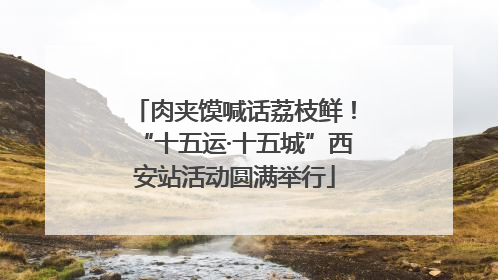 肉夹馍喊话荔枝鲜！“十五运·十五城”西安站活动圆满举行