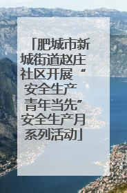 肥城市新城街道赵庄社区开展“安全生产 青年当先”安全生产月系列活动