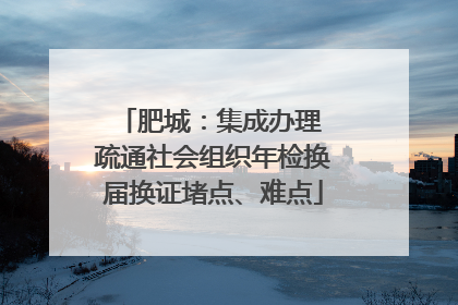 肥城：集成办理 疏通社会组织年检换届换证堵点、难点