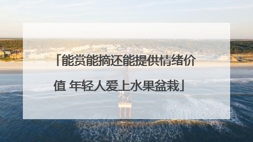 能赏能摘还能提供情绪价值 年轻人爱上水果盆栽