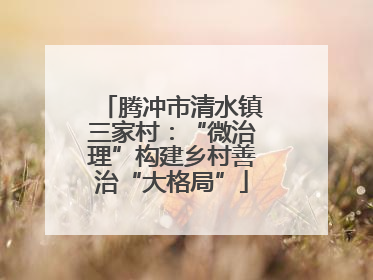 腾冲市清水镇三家村：“微治理”构建乡村善治“大格局”