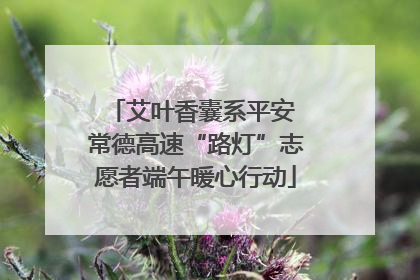 艾叶香囊系平安 常德高速“路灯”志愿者端午暖心行动