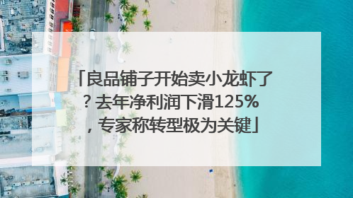 良品铺子开始卖小龙虾了？去年净利润下滑125%，专家称转型极为关键