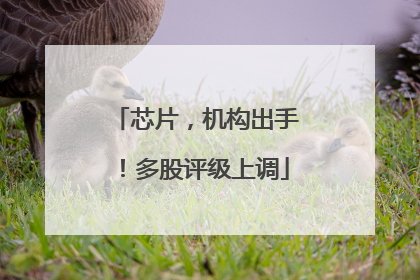 芯片，机构出手！多股评级上调
