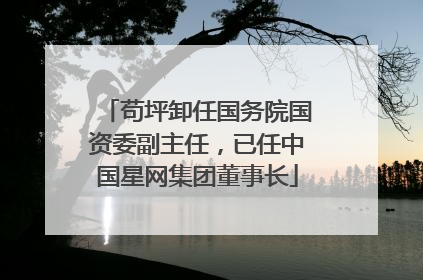 苟坪卸任国务院国资委副主任，已任中国星网集团董事长
