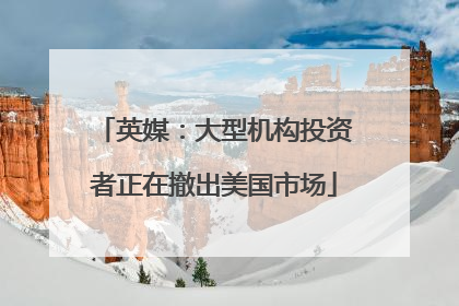 英媒：大型机构投资者正在撤出美国市场