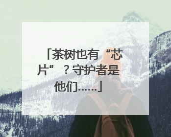 茶树也有“芯片”？守护者是他们……