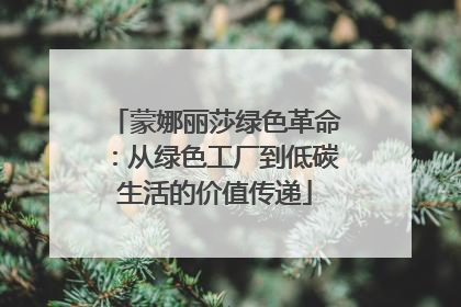蒙娜丽莎绿色革命：从绿色工厂到低碳生活的价值传递
