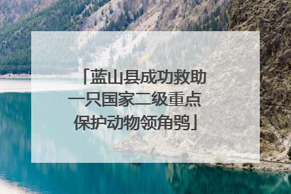 蓝山县成功救助一只国家二级重点保护动物领角鸮