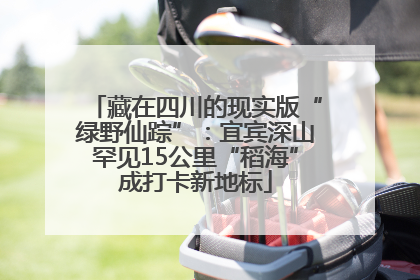 藏在四川的现实版“绿野仙踪”：宜宾深山罕见15公里“稻海”成打卡新地标