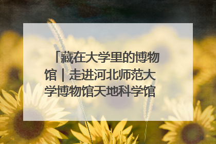 藏在大学里的博物馆｜走进河北师范大学博物馆天地科学馆：在校园里赴一场“宇宙之约”