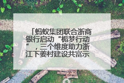 蚂蚁集团联合浙商银行启动“栀梦行动”，三个维度助力浙江下姜村建设共富示范区示范点