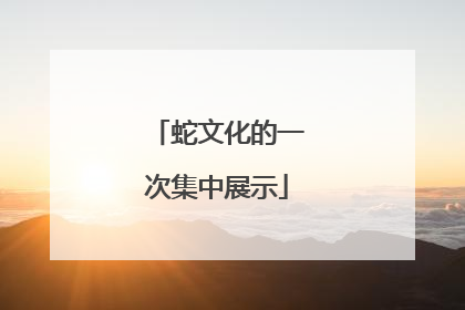 蛇文化的一次集中展示
