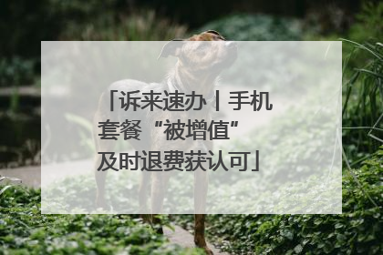 诉来速办丨手机套餐“被增值” 及时退费获认可