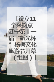设立11个采摘点 武宁第十一届“新光杯”杨梅文化旅游节开幕（组图）