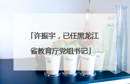 许振宇，已任黑龙江省教育厅党组书记