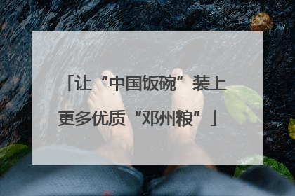 让“中国饭碗”装上更多优质“邓州粮”