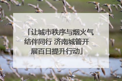 让城市秩序与烟火气结伴同行 济南城管开展百日提升行动