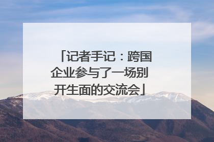 记者手记：跨国企业参与了一场别开生面的交流会
