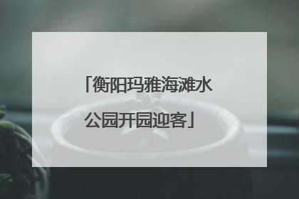 衡阳玛雅海滩水公园开园迎客