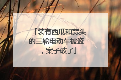 装有西瓜和蒜头的三轮电动车被盗，案子破了