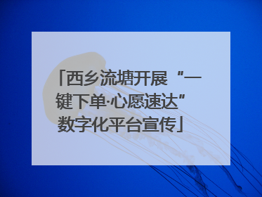 西乡流塘开展“一键下单·心愿速达”数字化平台宣传
