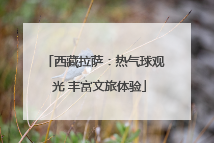 西藏拉萨：热气球观光 丰富文旅体验