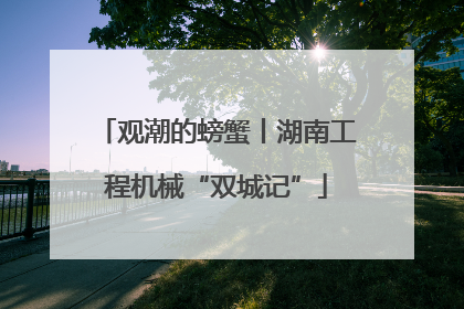 观潮的螃蟹丨湖南工程机械“双城记”